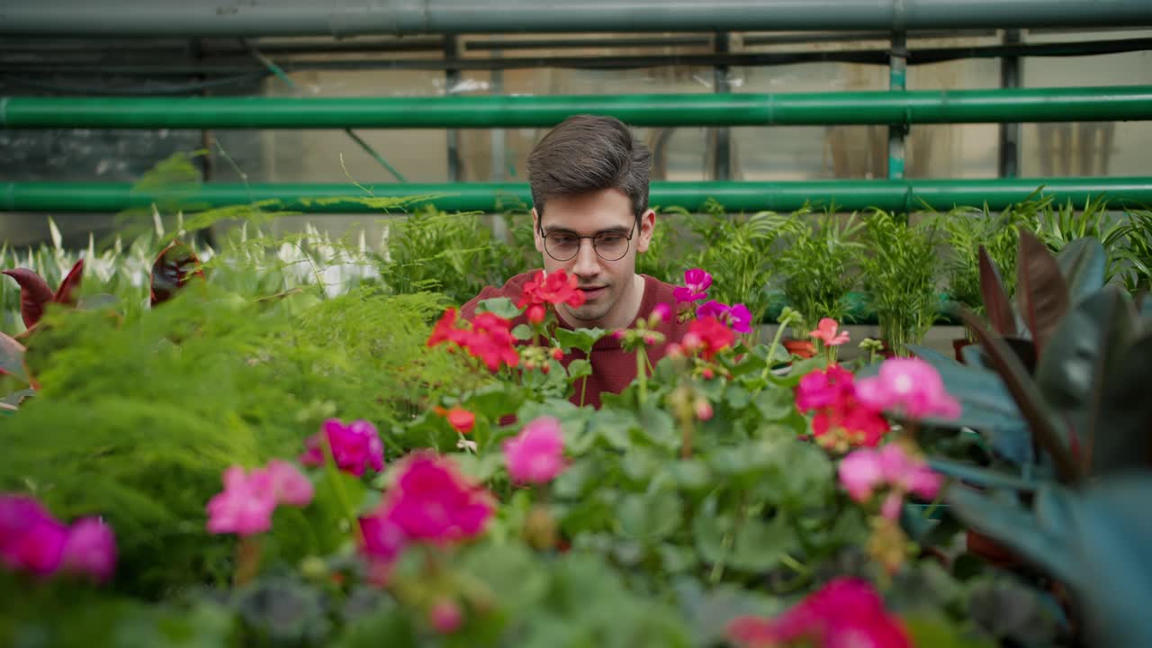 xploring the Beauty of Nature: A Young Man's Passion for Flowers. A young guy examines a large number of flowers and greenery in