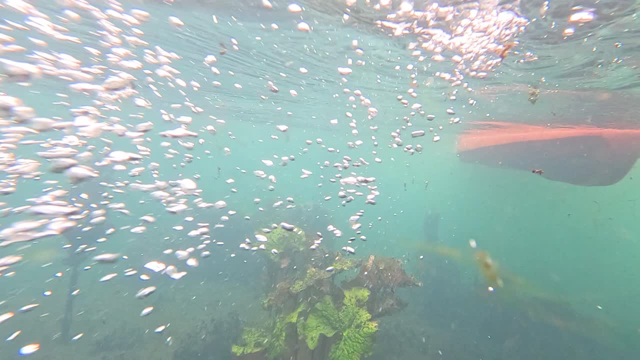 스프링 피드 강 의 수중 카야크 풍경