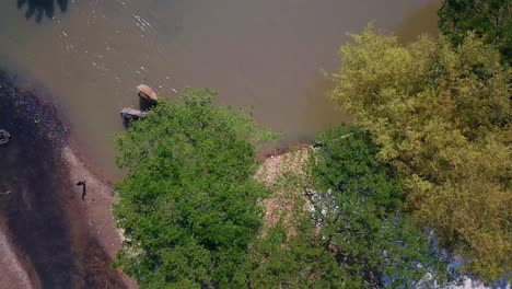 elephants of thailand