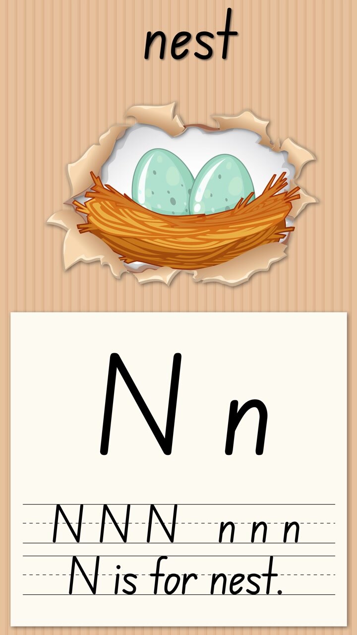 Animated educational video teaches writing the letter N using a bird nest illustration and text
