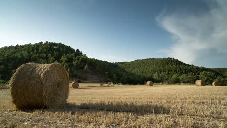 campo de cosecha 00