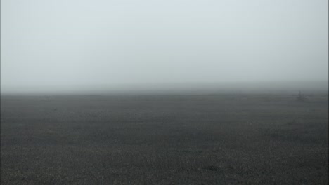 Hierba-Congelada-Y-Cubierta-De-Escarcha-En-Una-Fría-Mañana-De-Invierno-En-Cámara-Lenta-Cinematográfica