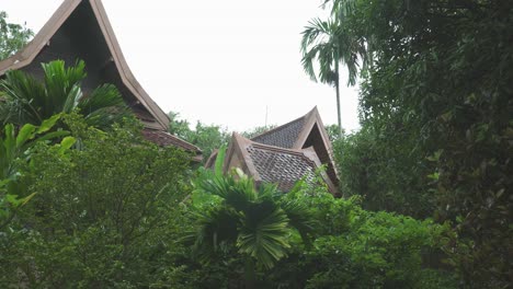 wide shot looking through thick tropical foliage to reveal the rooftops of a traditional thai style building in the distance, thailand