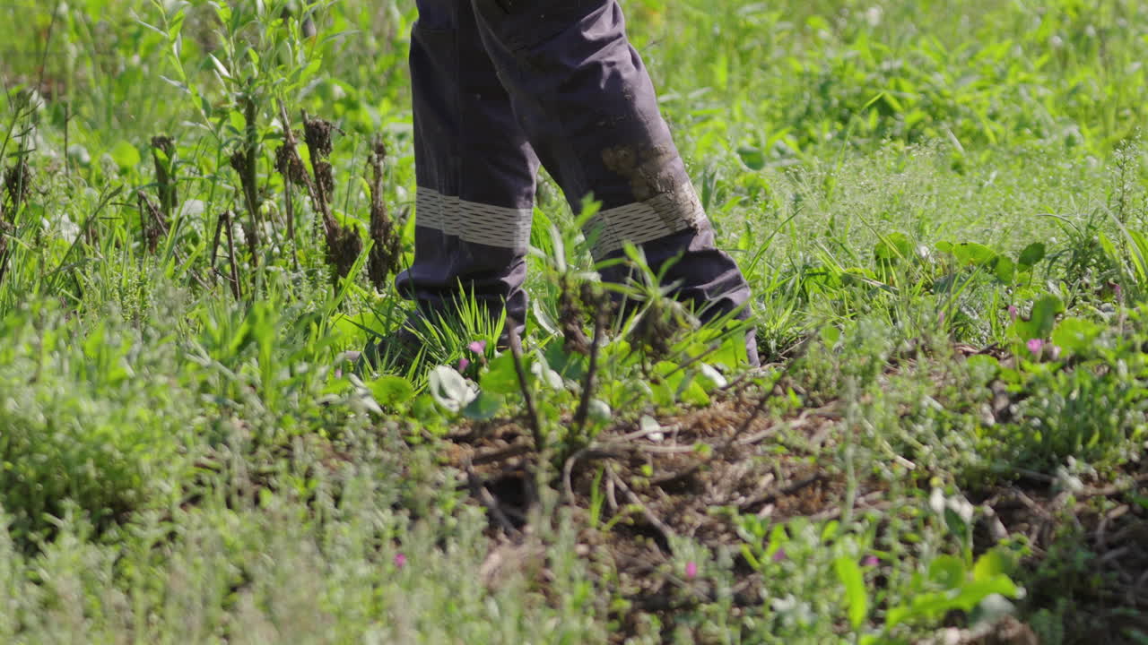 Farmer walking through a vibrant field of green grass and scattered weeds, dressed in gray work pants and sturdy boots, enjoying a sunny day in the rural countryside