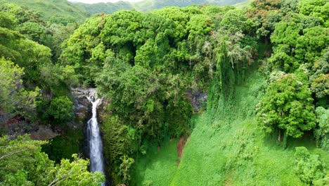 amazing waterfall from air, maui rainforest in hawaii