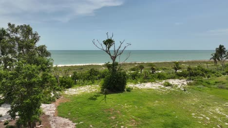 droning the dunes of sanibel island post hurricane ian