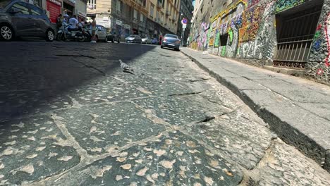 pigeon walks along a vibrant, graffiti-covered street