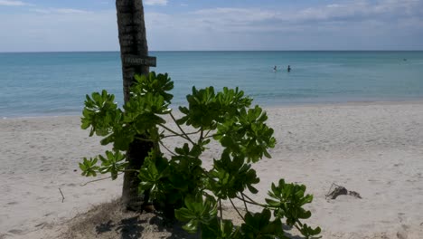 Private-zone-sign-at-a-tropical-beach-on-an-island,-Koh-Kood,-Thailand