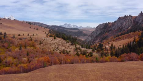 beautiful autumn forest and grassland plains below sichuan genyen grasslands