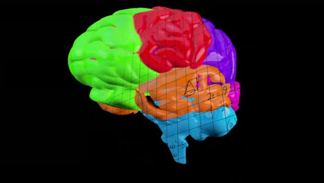 Animación-Del-Cerebro-Girando-Sobre-Ecuaciones-Matemáticas