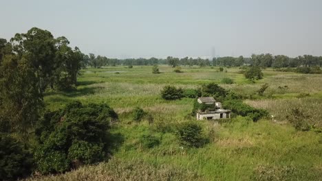 aerial shot, little wrecked stone house in the middle of the bush, track on the house rotating angle from the front