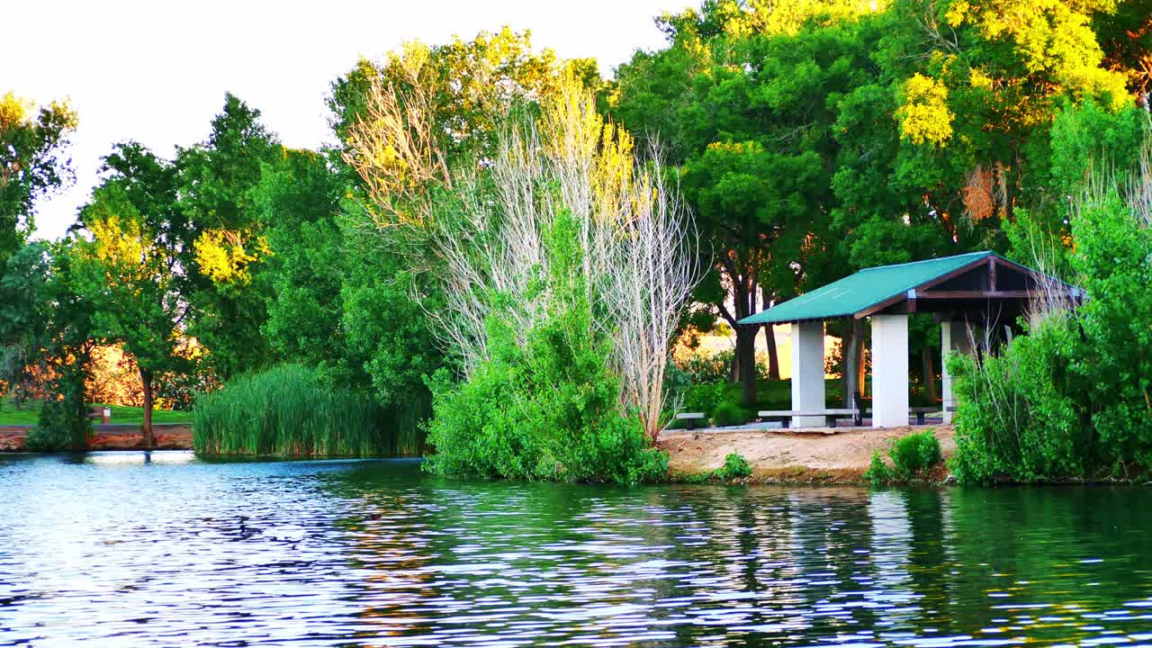 Morning Lake view with wildlife