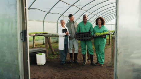 agricultor, trabajo en equipo y plantas de invernadero