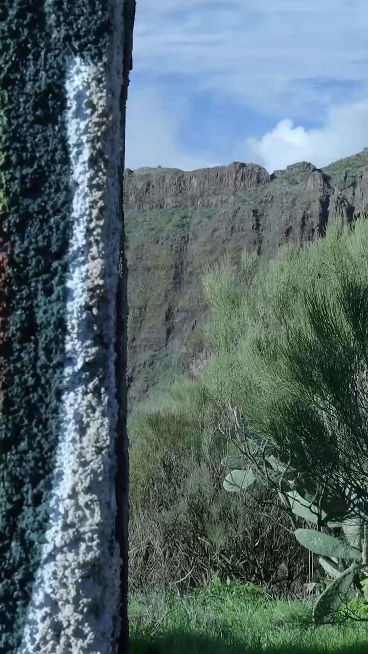 La telecamera si muove verso l'alto su un pilastro con graffiti per rivelare un paesaggio montano