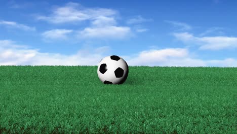 Soccerball-on-Grass