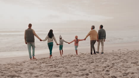 Walking,-back-and-big-family-holding-hands