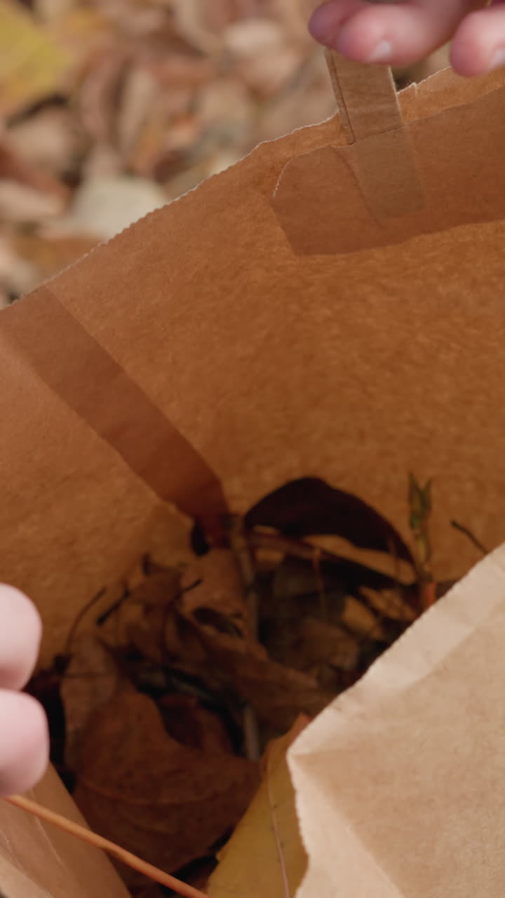 primer plano de un niño colocando una hoja de otoño vibrante en una bolsa de papel marrón, destacando la actividad ecológica y la conexión con la naturaleza entre las hojas caídas y la vegetación en un entorno al aire libre