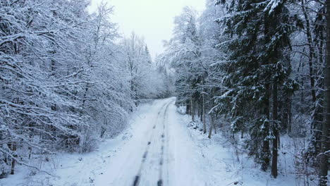 car tire tracks on winter road in snowscape lonely forest near deby village, poland