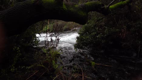 jordan-river-rushing-waters-Tel-Dan-Israel-Biblical-Site