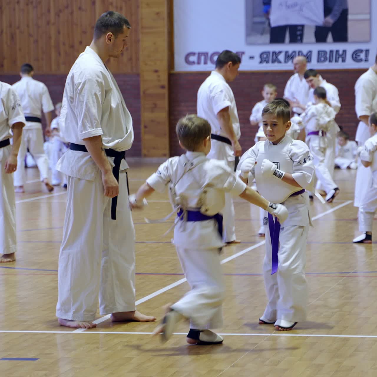 Little sportsmen split into pairs to practice karate fight. Coaches watch every pair of athletes. Other kids waiting for their turn sitting on the floor at backdrop