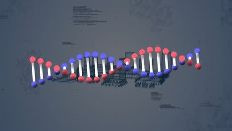 dna strand and binary coding, scientific data processing animation