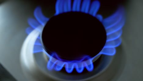 fire from gas kitchen stove. gas burner on modern kitchen stove