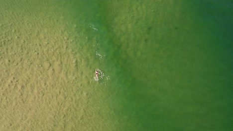 Toma-Aérea-De-Un-Dron-De-Las-Olas-Del-Banco-De-Arena-Rompiendo-El-Fondo-Del-Océano-Nadador-Remando-Accidente-Cerebrovascular-Turismo-Viajes-Cristalino-Soldados-Playa-Costa-Central-Nsw-Australia-4k