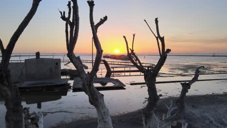 Drone-flyover-dead-tree-next-to-the-ruins-of-abandoned-pool-capturing-the-resurfacing-of-poolside-slides-and-deck-with-beautiful-golden-sun-setting-on-the-horizon,-villa-epecuen,-buenos-aires