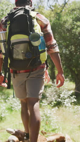 vertical video of diverse couple hiking in park, slow motion