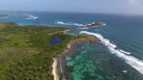 Aerial-drone-shot-in-sunny-day-time.-High-fly-over-palm-trees-mangrove-forest-an