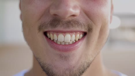 cropped shot of smiling bearded man.