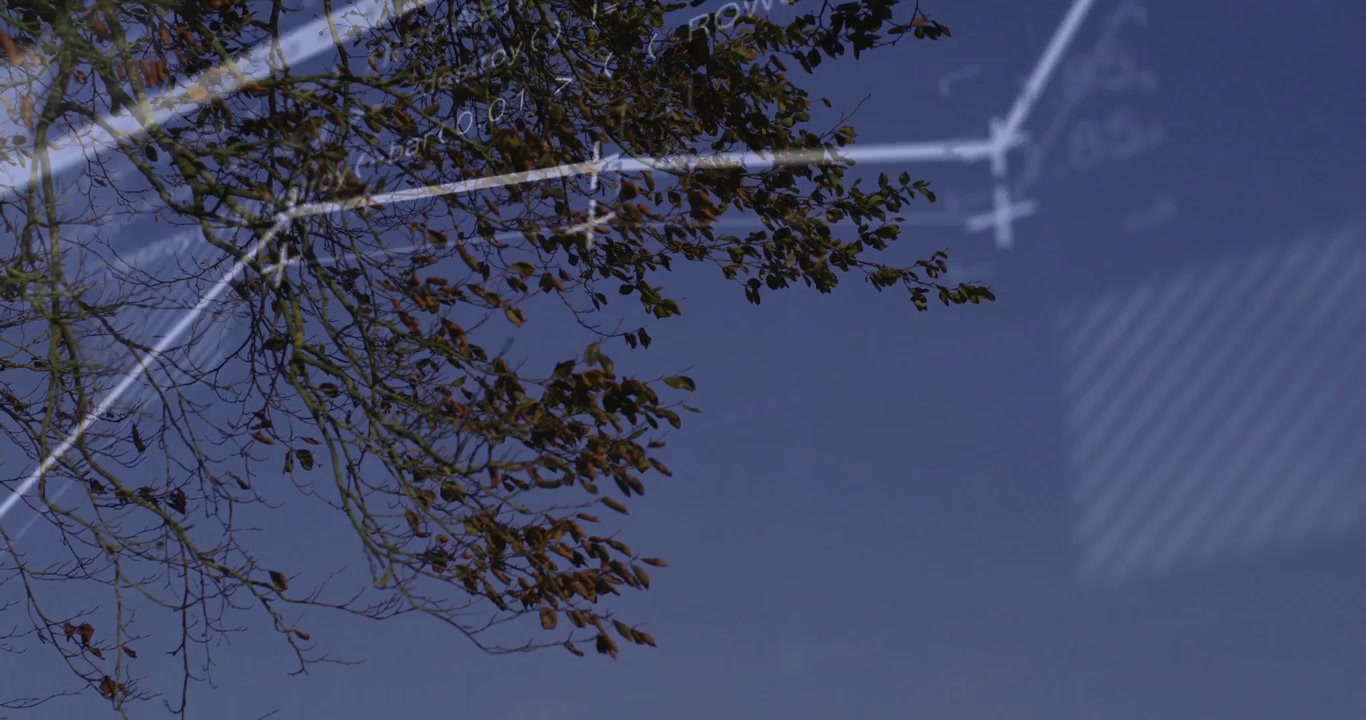 Slank gren vises diagonalt mod blå himmel med efterårsblade og skematisk overlejring.