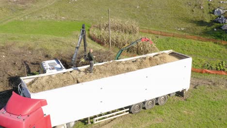 man supervise wood being fed to chipper shredder and turn into wood chips