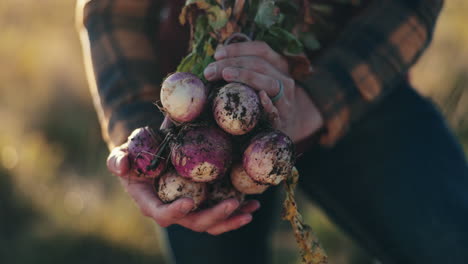 Manos,-Cebollas-Y-Agricultura-Con-Primer-Plano-De-Persona