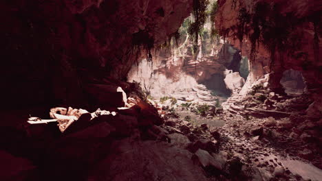 mysterious cave in a lush jungle environment