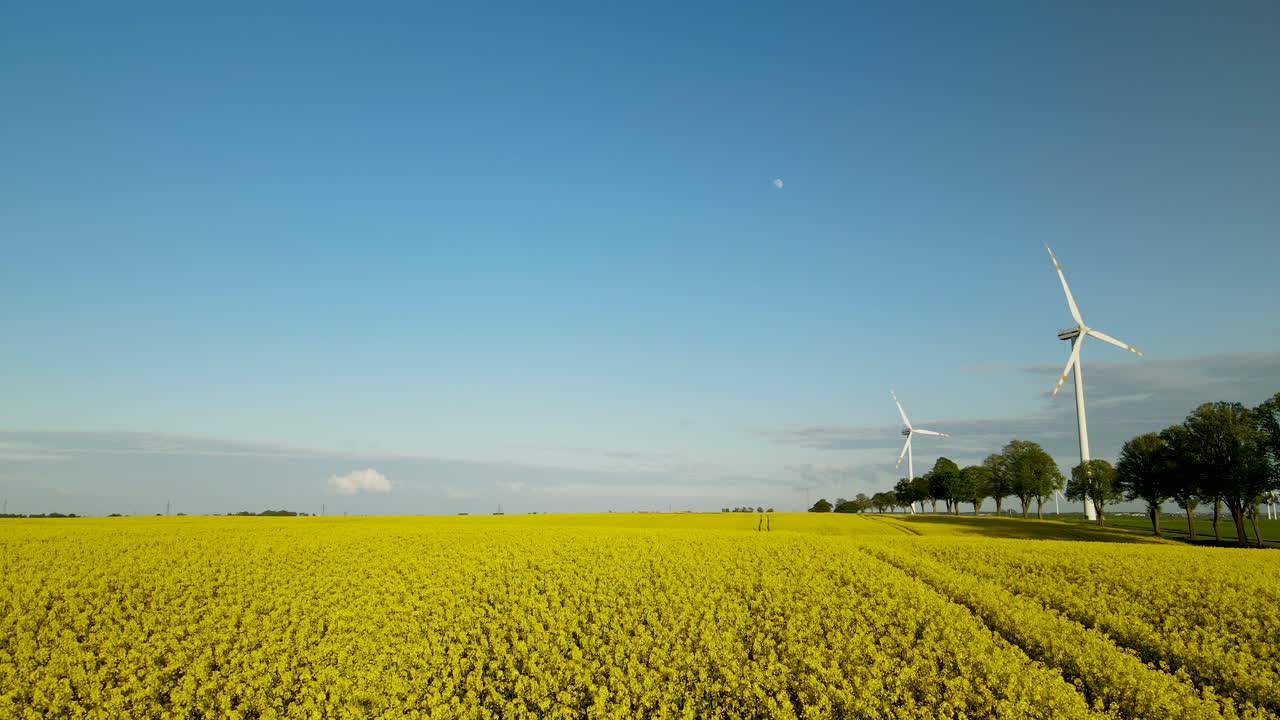 lebcz 폴란드의 유채밭 위에 있는 낮은 수준의 돌리 포워드 공중 - 들판을 감싸고 있는 풍력 터빈