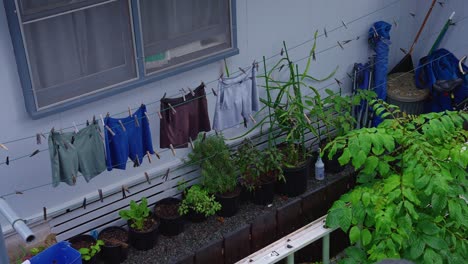 Laundry-hanging-to-dry-while-it's-raining-hard