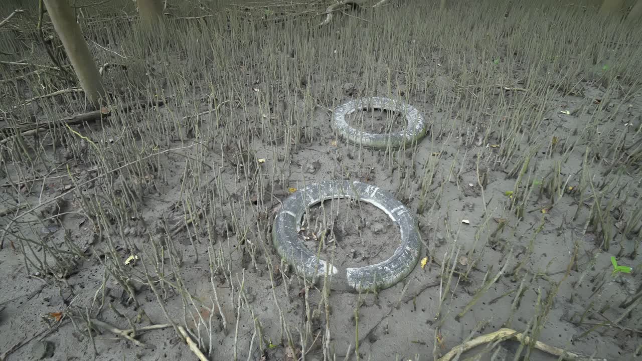 ⁇ 그로브 나무 숲의 타이어 쓰레기.
