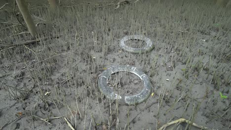 old tyre litter at mangrove tree forest.