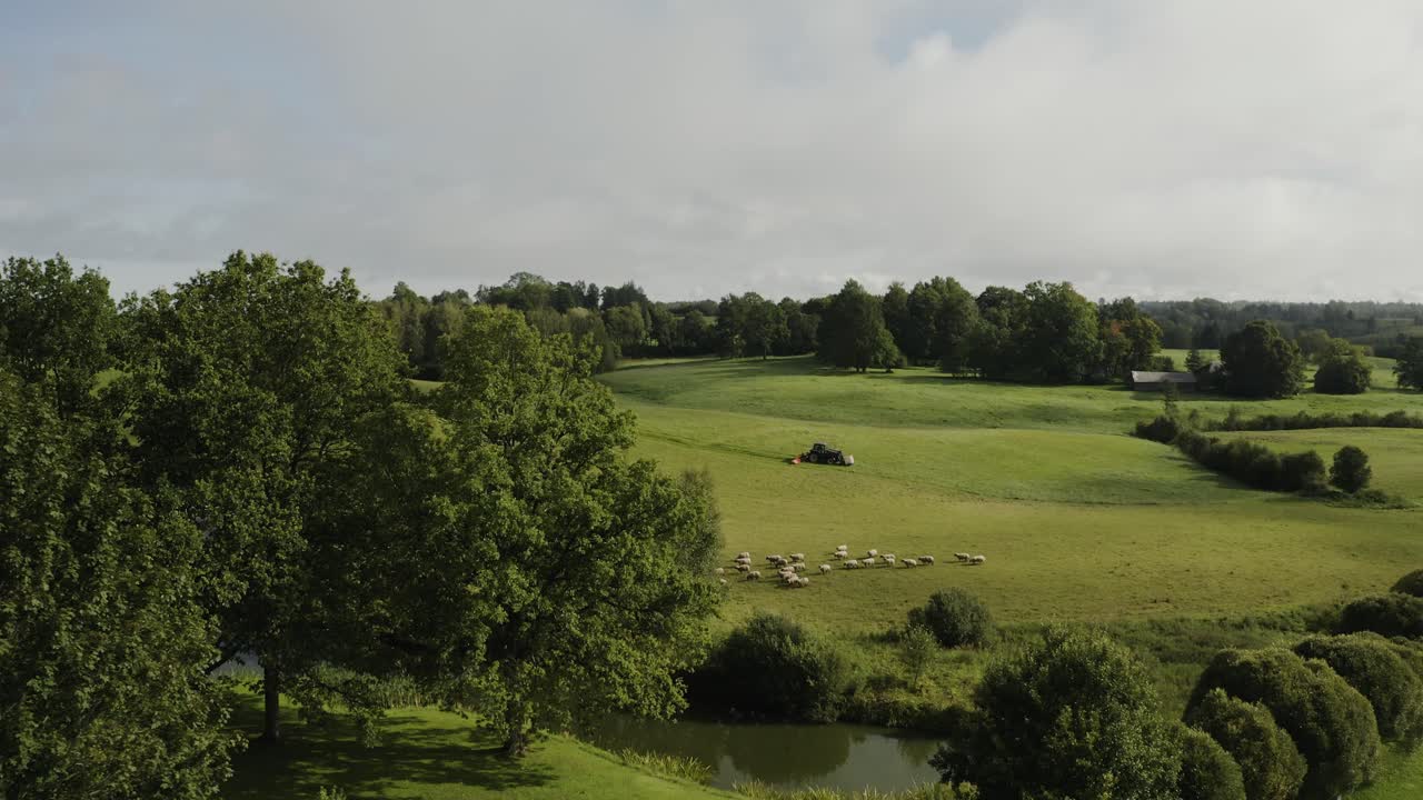 Élevage ovin dans une campagne verdoyante. Vue aérienne
