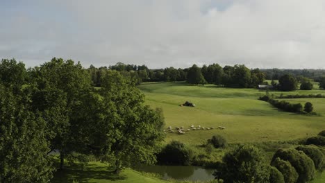 Schafzucht-In-Grüner-Landschaft.-Antenne