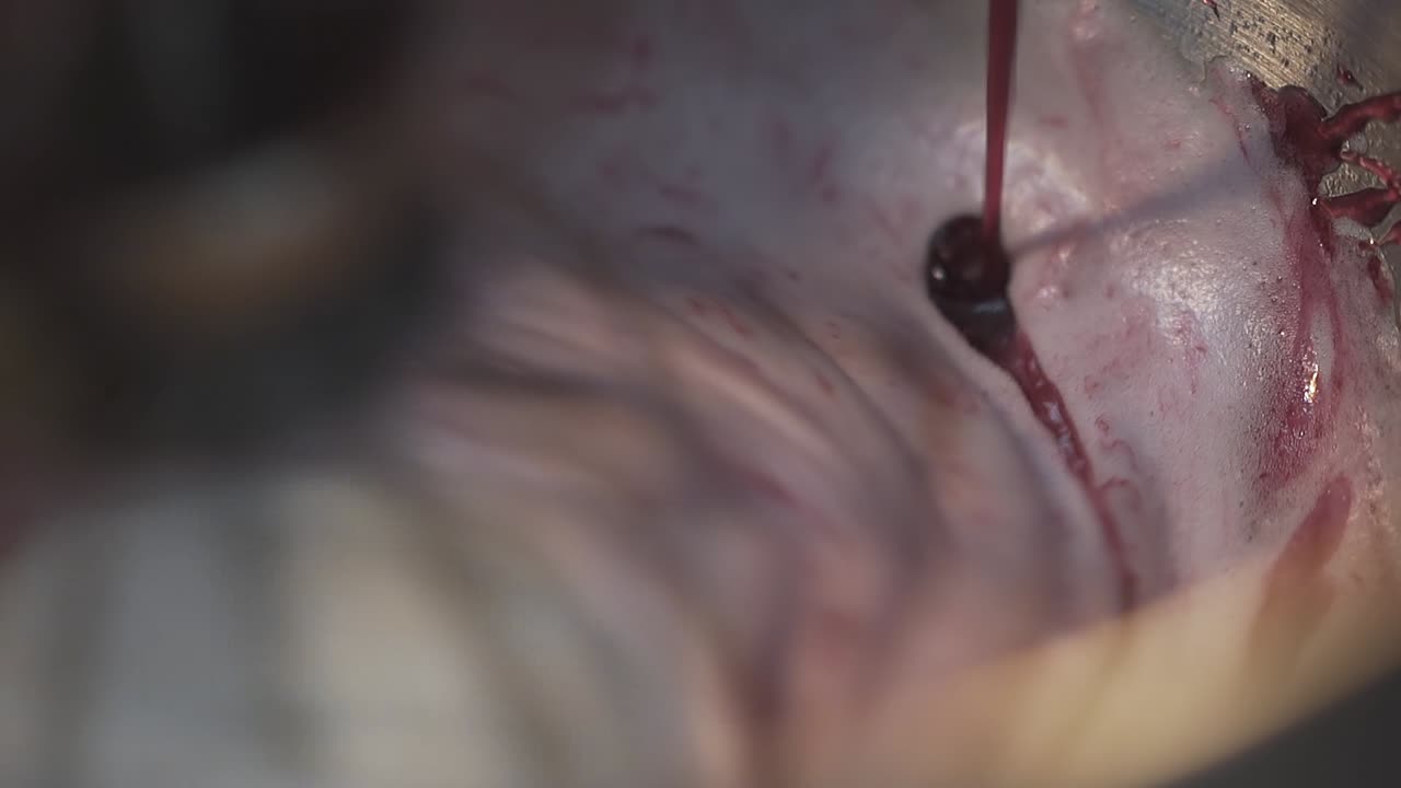 el confitero prepara crema de pastel de bayas rosadas con mezclador