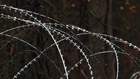 barbed wire for border protection