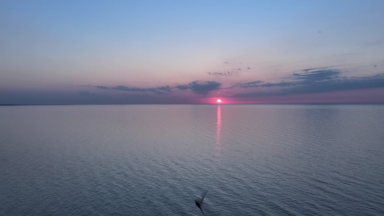 제비는 일몰 4k에서 바다 위로 날아갑니다.