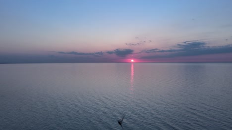 las golondrinas vuelan sobre el mar al atardecer 4k