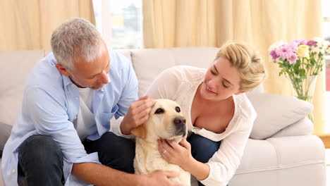 happy couple stroking labrador on couch