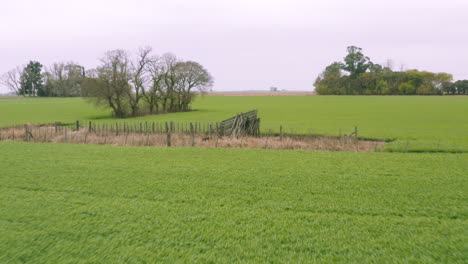 aerial - beautiful lush, fertile fields under a purple sky, forward circle pan