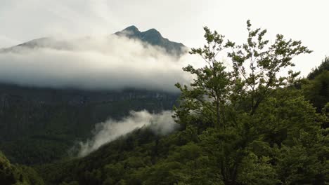 a drone shot in the pyrenees mountains in france with a tree in the foreground and large mountains in the background