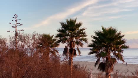 evening on the beach