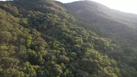 aerial shot of a mountain side